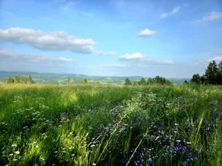 20250611_173203.jpg