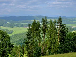 20250611_173340.jpg