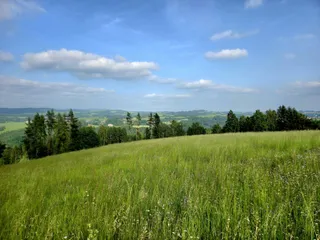 20250611_173350.jpg