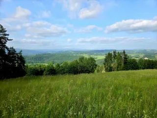 20250611_173359.jpg