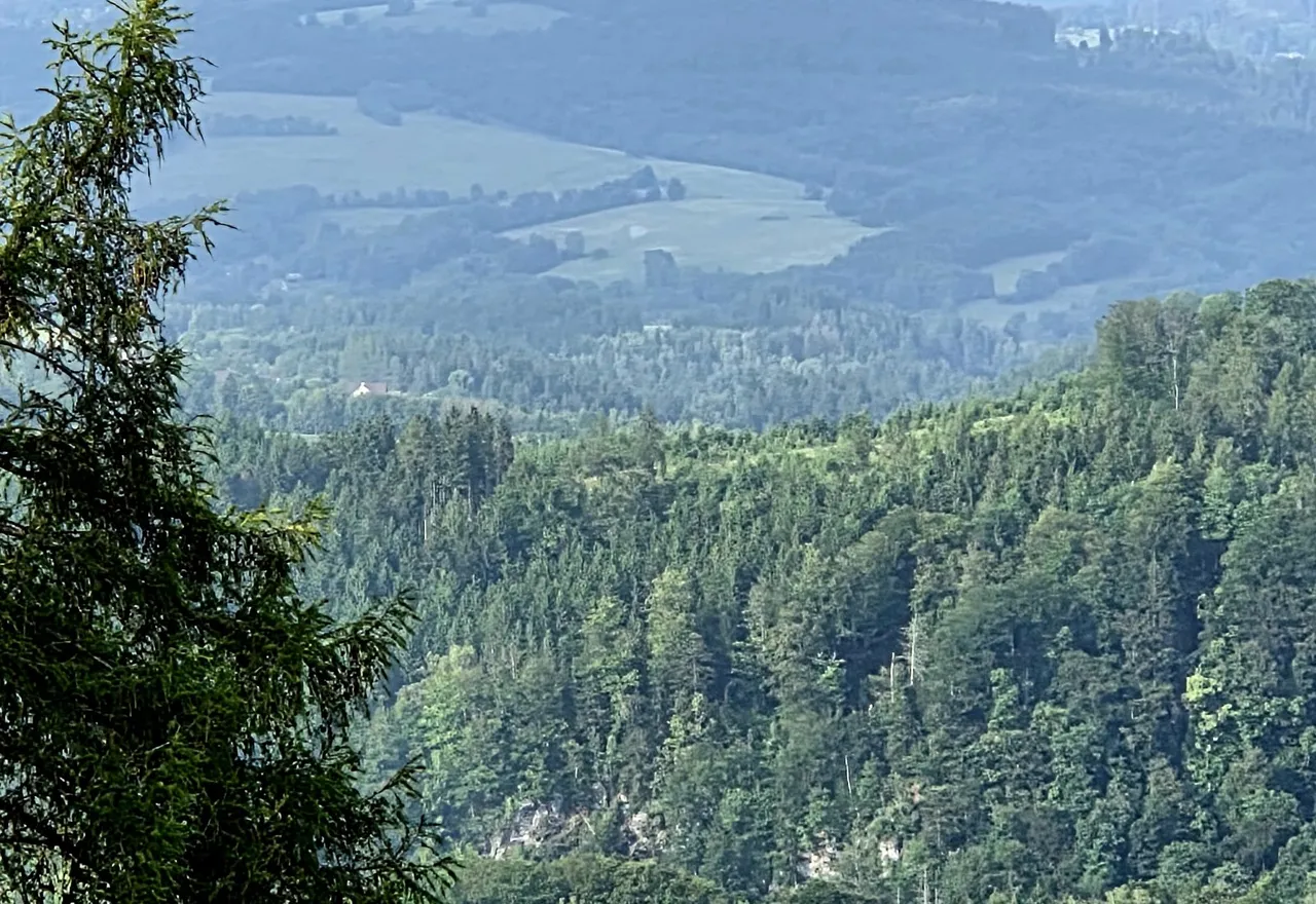 20250611_173535.jpg