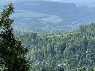 20250611_173535.jpg