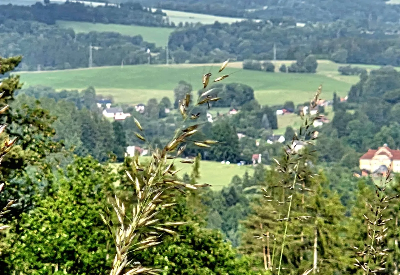 20250611_173553.jpg