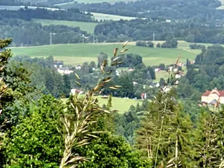 20250611_173553.jpg