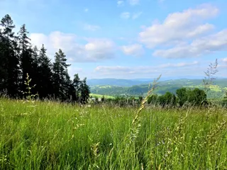 20250611_173752.jpg