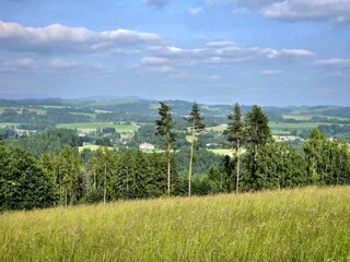 20250611_174109.jpg