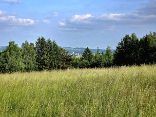 20250611_174115.jpg