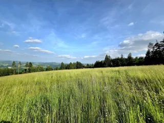20250611_174141.jpg