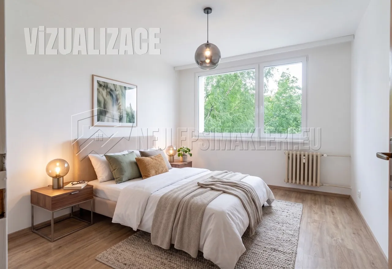Vizualizace1.jpg