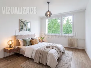 Vizualizace1.jpg