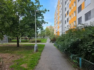 20260916_102011.jpg