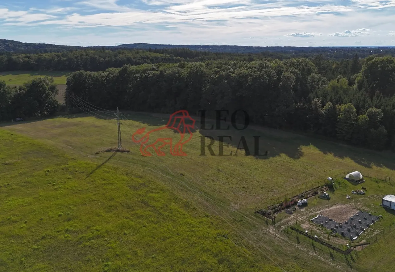 DJI_20250904162238_0058_D.JPG