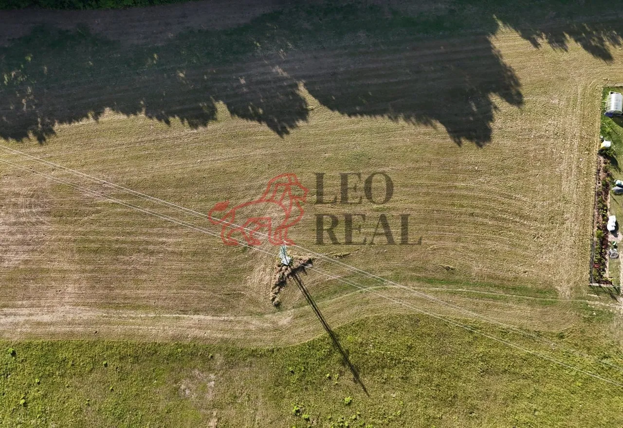 DJI_20250904162950_0087_D.JPG