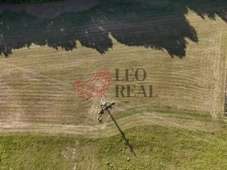 DJI_20250904162950_0087_D.JPG