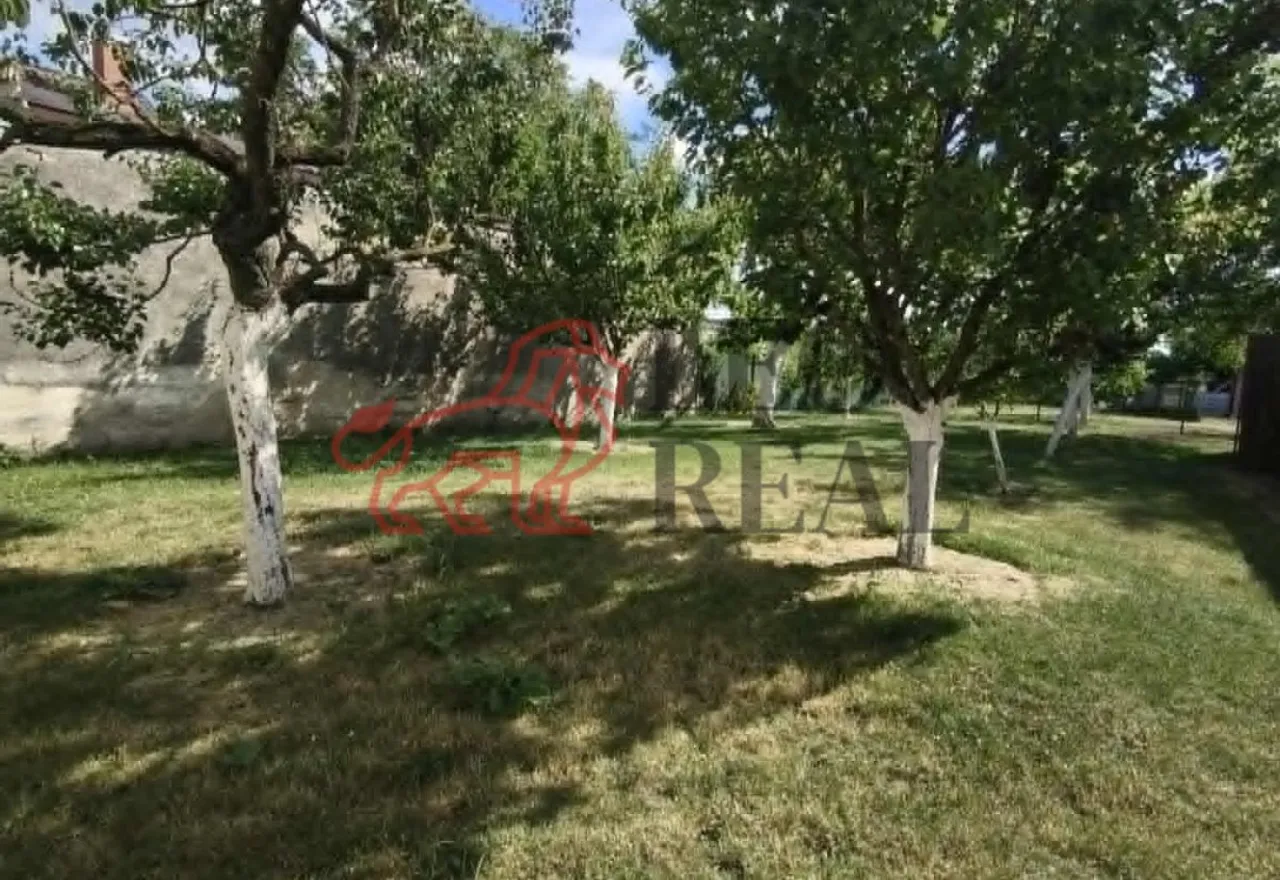 82ac14e8-7cda-4175-b0b6-75244596c638.jpg