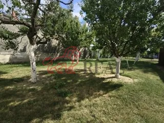 82ac14e8-7cda-4175-b0b6-75244596c638.jpg