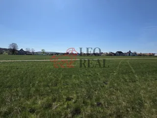 20260422_145256.jpg