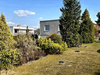 20260311_124158.jpg