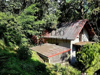 20260709_091606.jpg