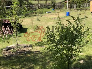 IMG_0142.jpeg