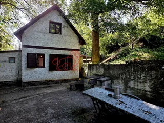 20260709_091714.jpg