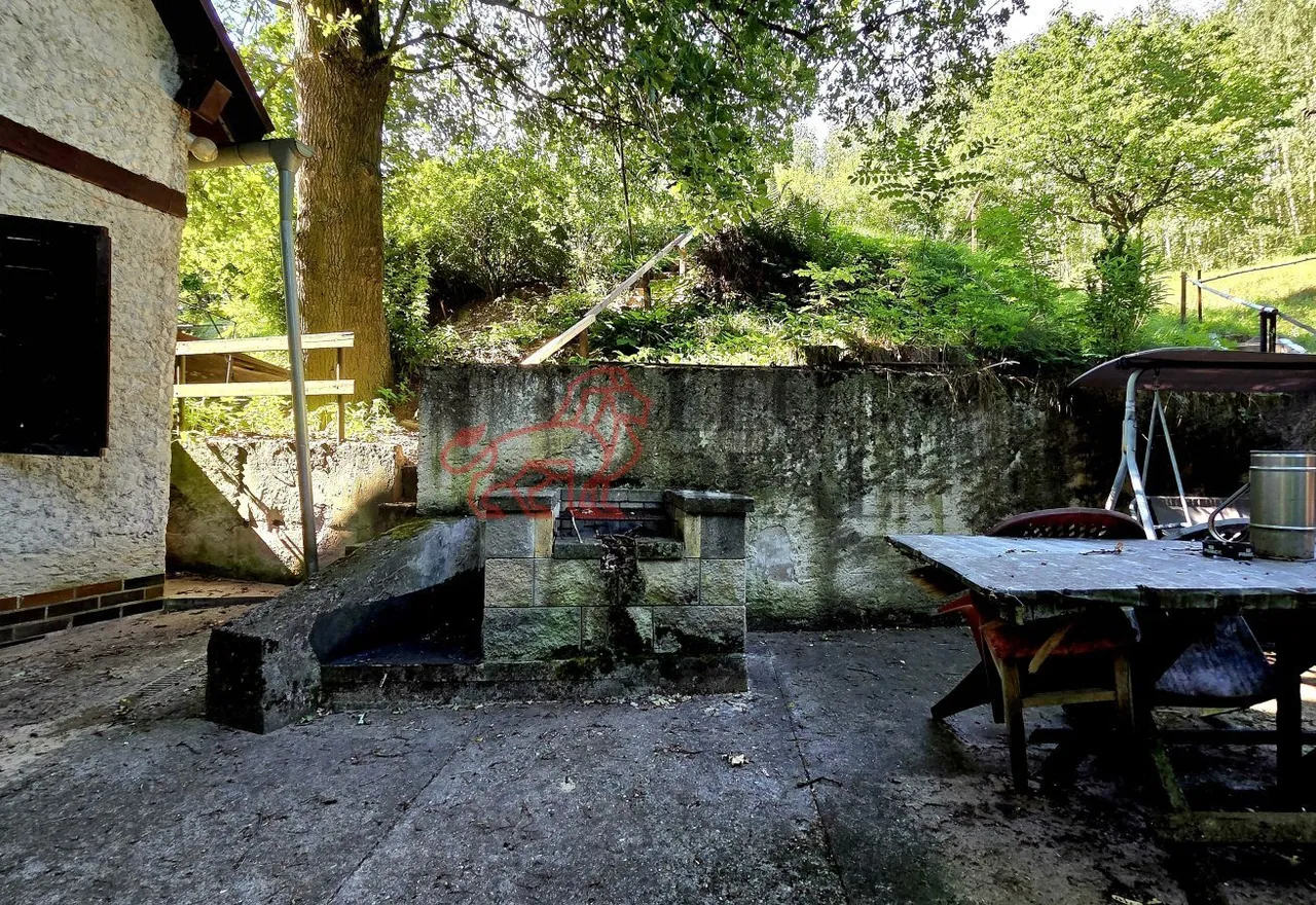 20260709_091833.jpg
