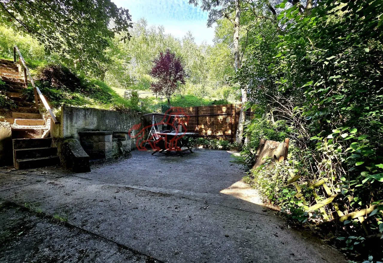 20260709_091846.jpg