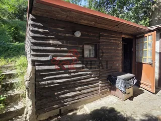 20260709_094253.jpg