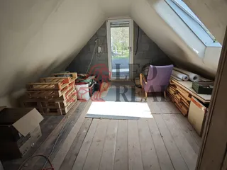 n.jpg