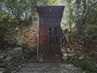 p.jpg