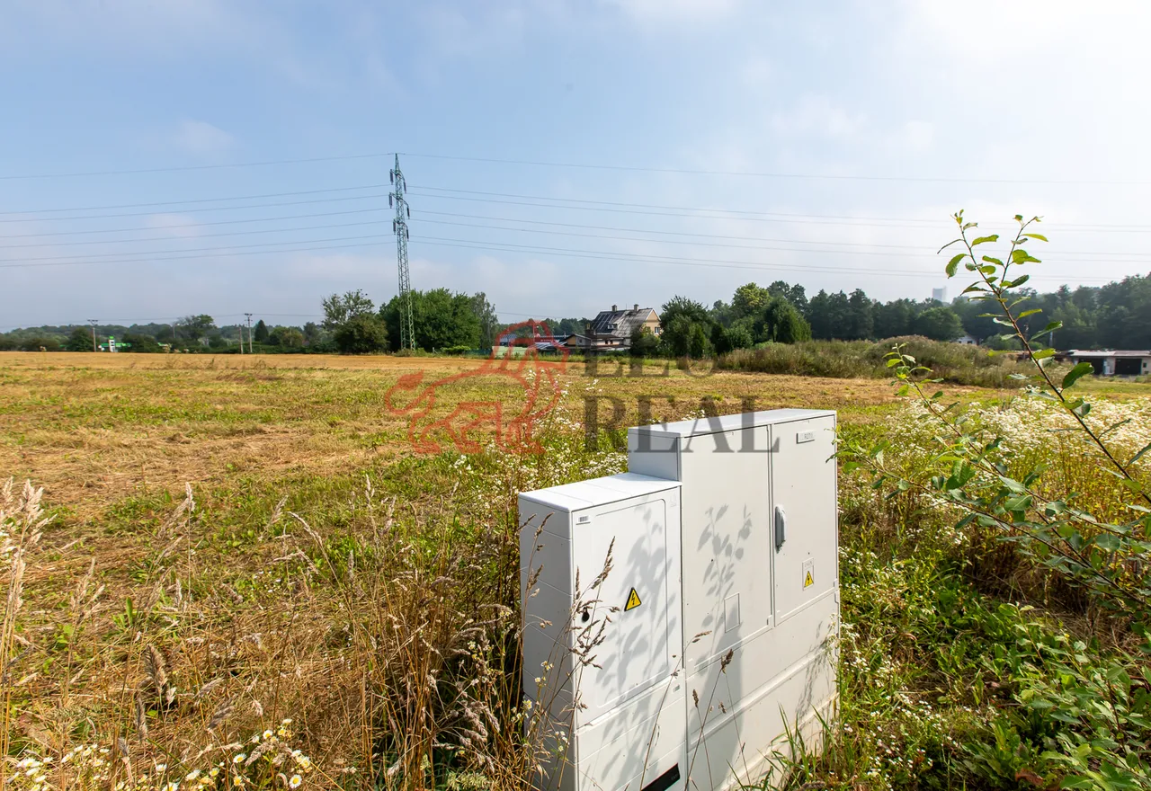 1S4A6734.jpg