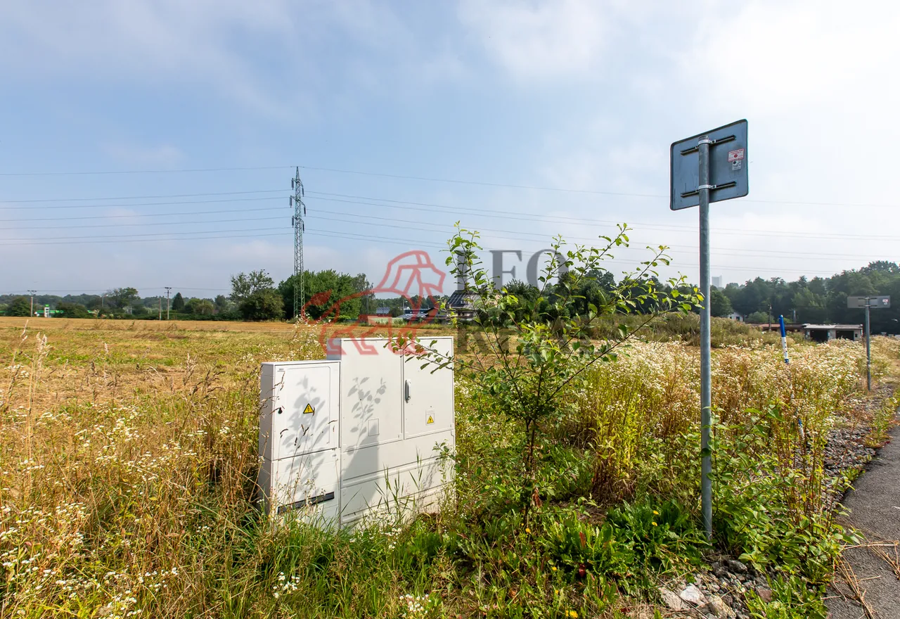 1S4A6732.jpg