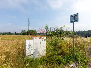 1S4A6732.jpg