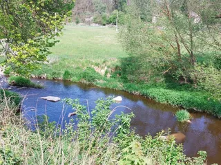 IMG_19.jpeg