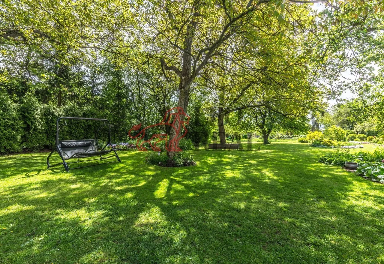 WE6A8507-HDR.jpg