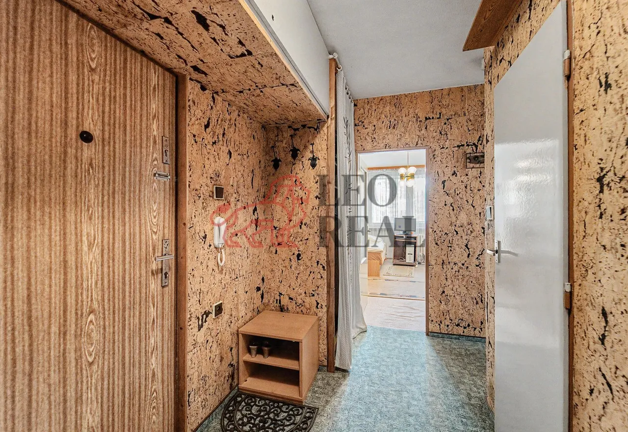 Byt, Záběhlice (12).jpg