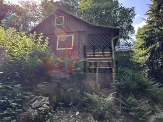 IMG_5835.jpeg