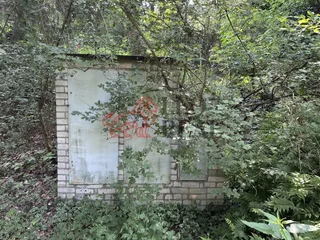 IMG_5869.jpeg