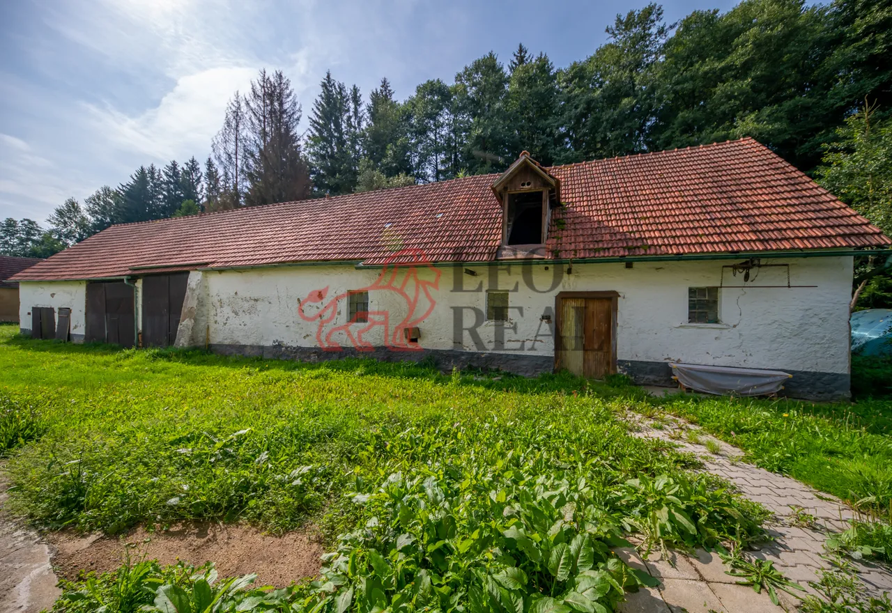 RDK_4543.jpg