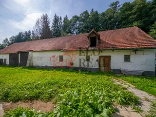 RDK_4543.jpg