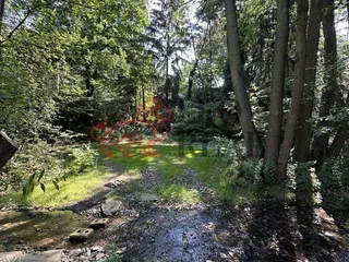 IMG_5872.jpeg