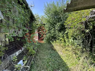 IMG_6882.jpeg