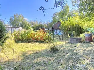 IMG_20250825_162042.jpg