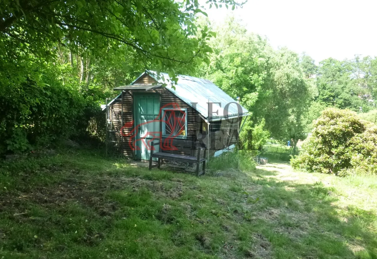 P1110160.JPG