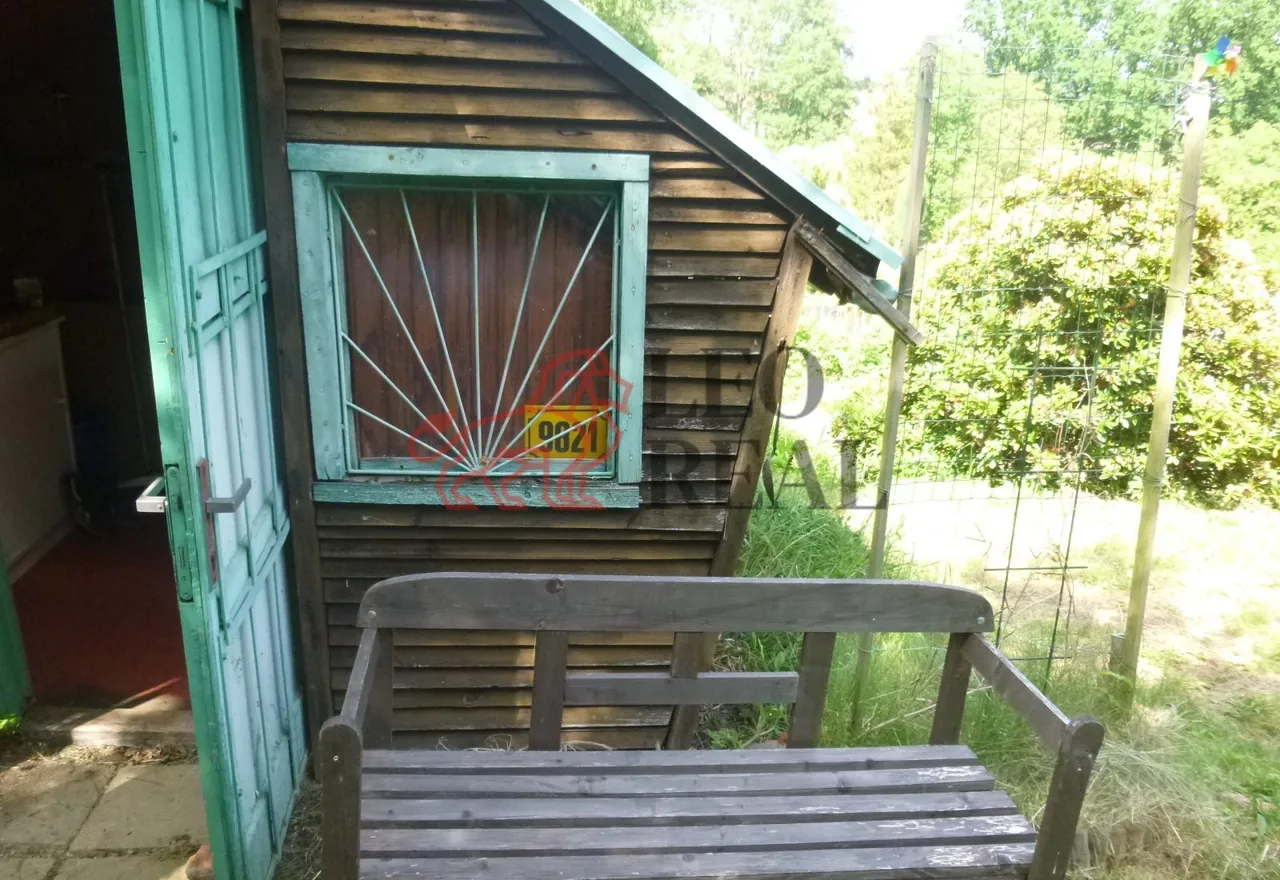 P1110177.JPG