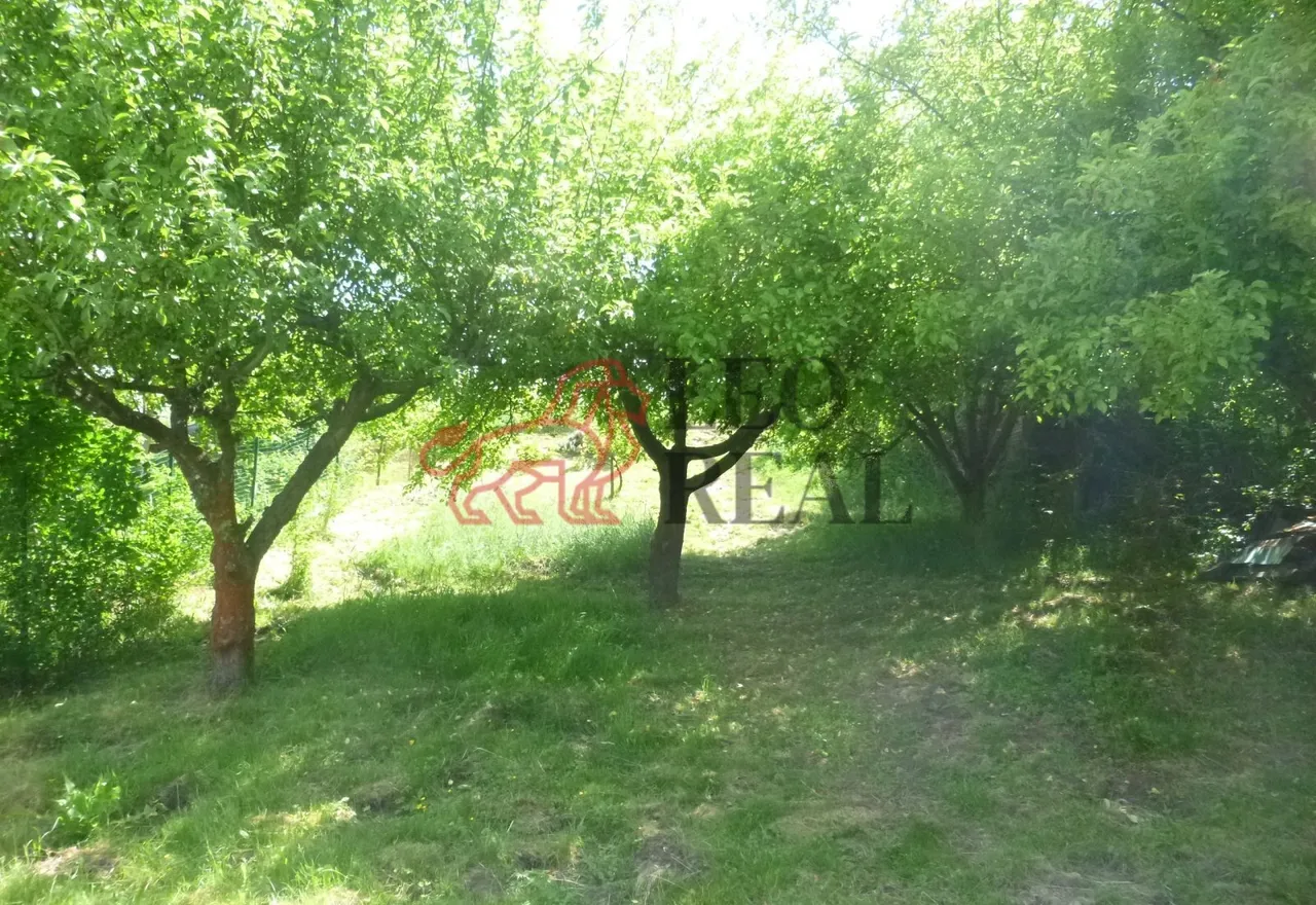 P1110170.JPG