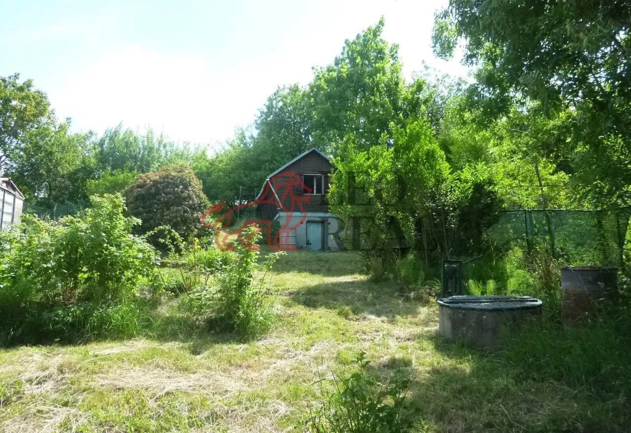 P1110172.JPG