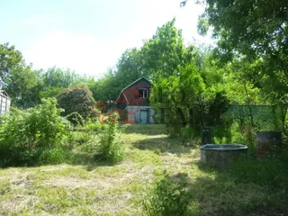 P1110172.JPG
