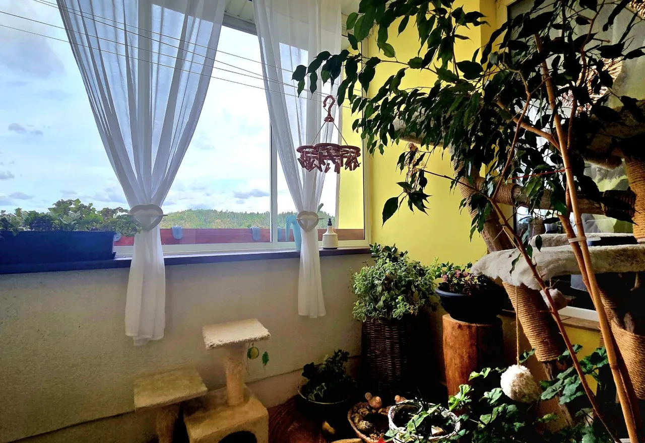 20260901_111319.jpg