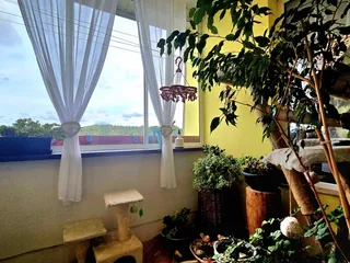 20260901_111319.jpg